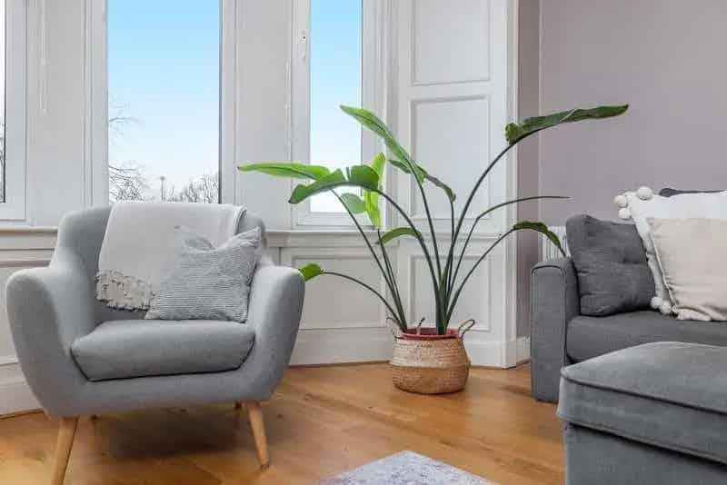 2 Bed Flat for Sale in Jordanhill - Modern Luxury in Period Setting
