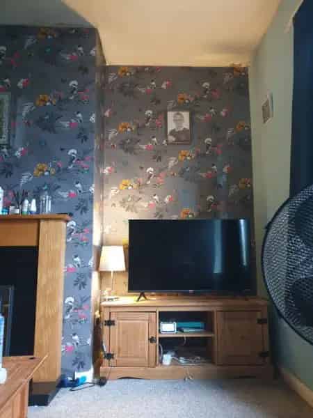 House Renovation Project Damp and Mold Issues