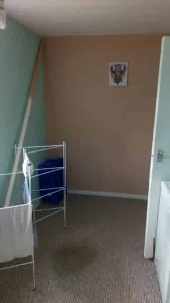 1st Floor Flat Downsize Opportunity Near Family Pet-Friendly Free Parking