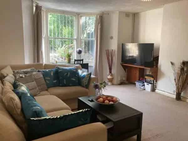 Large One Bed Basement Flat with Garden East London