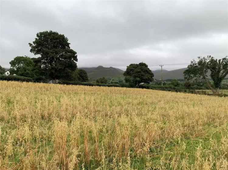 Land For Sale in null, Northern Ireland