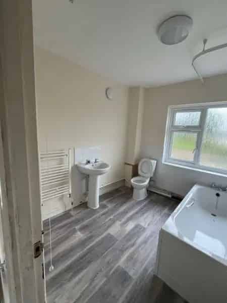 Home Swap Cat Owner Needs Pet Friendly Outdoor Space