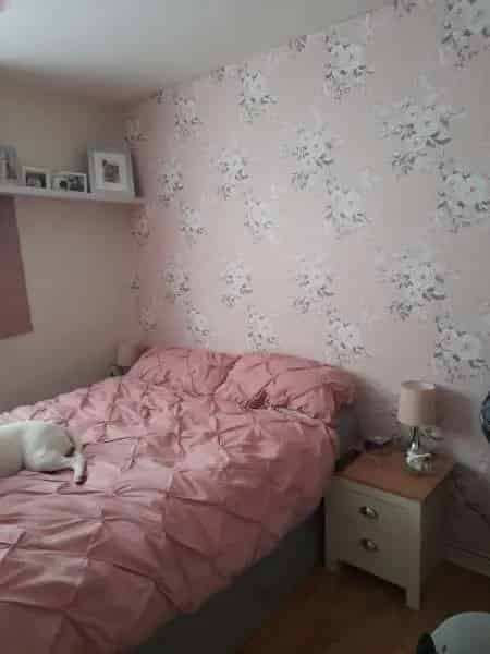 2 Bed Ground Floor Flat Big Garden Courthouse Green Coventry