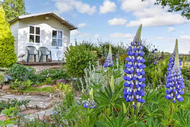 3 Bedroom Semi-Detached Cottage For Sale
