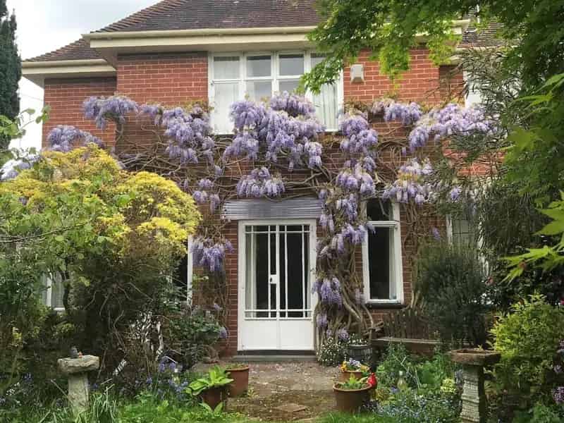 3 Bed Semi-Detached House For Sale