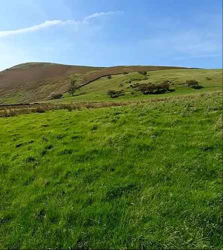11.12 Acres Grazing Pasture Land with Commons Rights