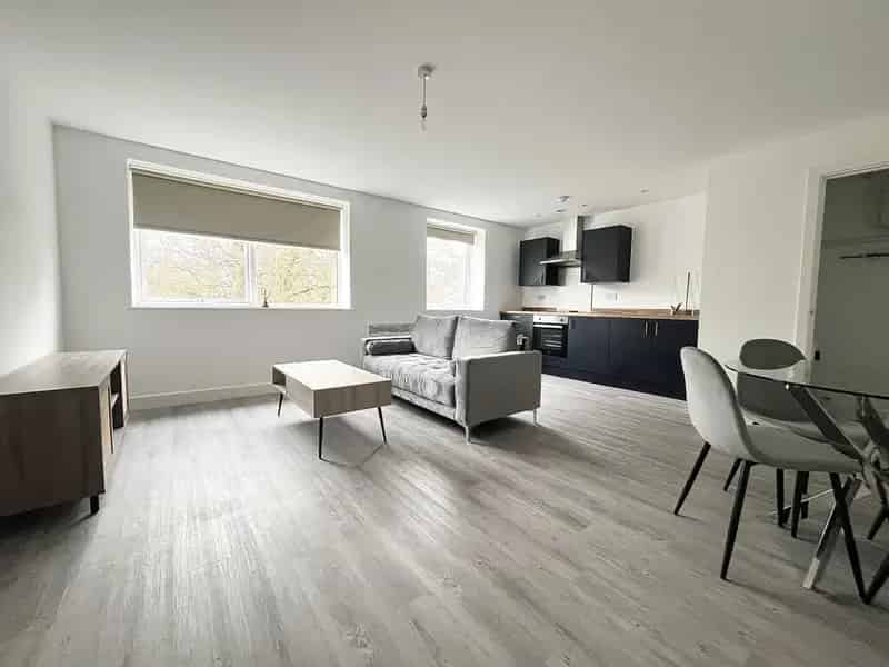 1 bedroom apartment