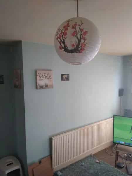 Needs Decorating