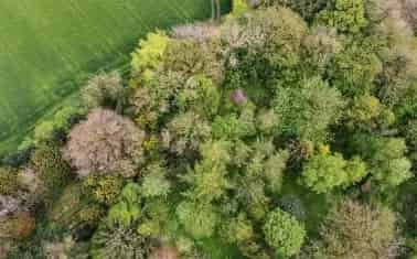 3 Bedroom Detached Bungalow in Dartmoor National Park
