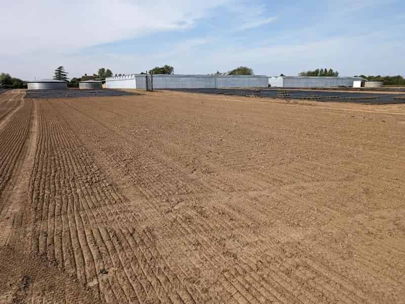 14.42 Acres Agricultural Land with Glasshouses and Nursery Beds