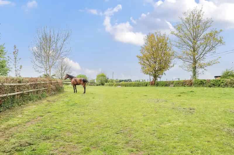 7 Bedroom Historic House Quantock Hills