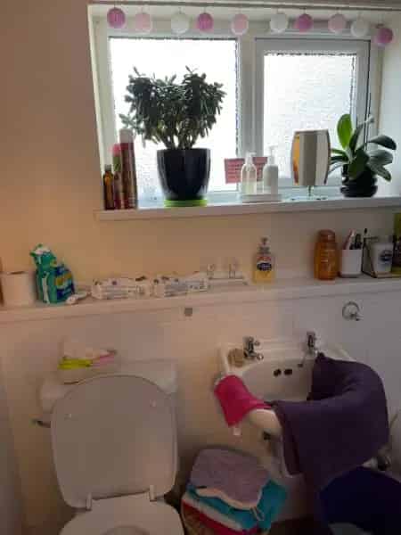 Ground Floor Flat with Bathroom, Kitchen, and Large Lounge
