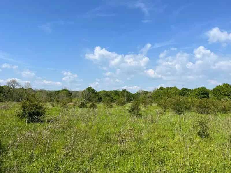 Pasture Land with Woodland Copse near Nuthurst