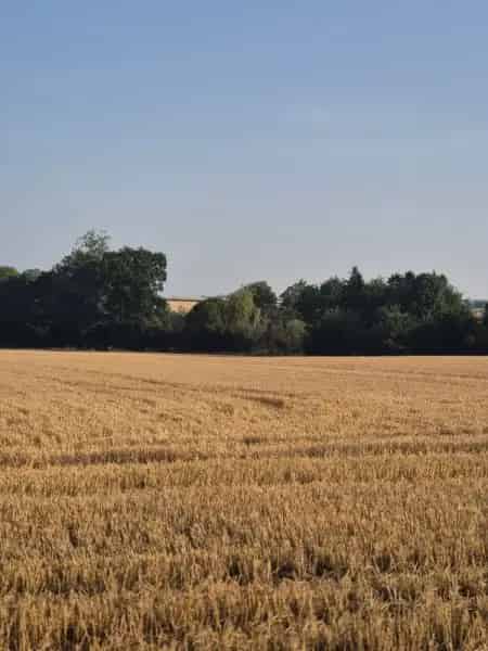 House For Rent , Braintree, England