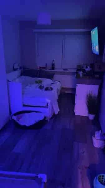Lovely Cosy One Bed Flat with Pet-Friendly Grass Areas