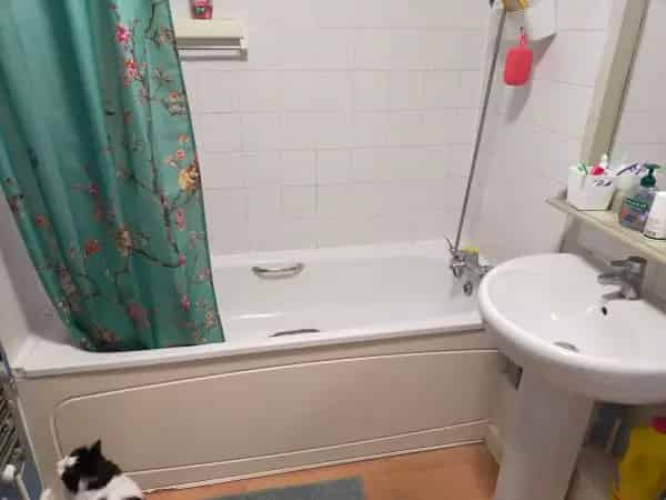 2 Bed Pet-Friendly Flat House or Maisonette near SW London