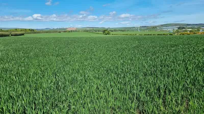 248.19 Acres Agricultural Land for Sale in Kincardineshire