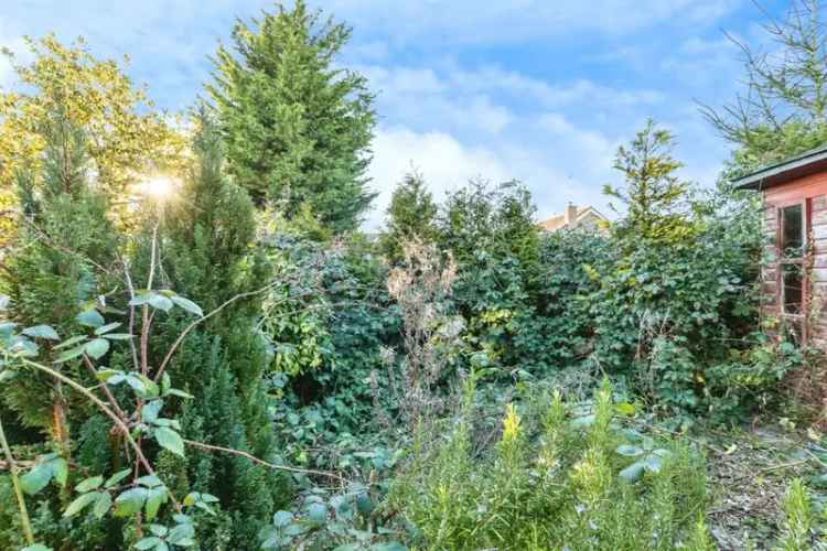 2 Bed Detached Bungalow Windsor Drive March