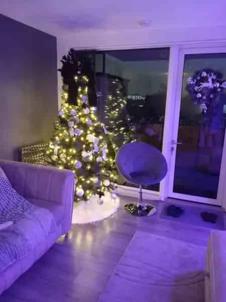3 Bedroom En-Suite Apartment Near Park and Shops