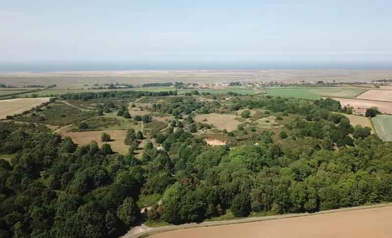 Barrow Common: Unique Heathland with Panoramic Views