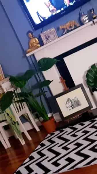 1 Bedroom Victorian Flat Putney SW15 High Ceilings Garden