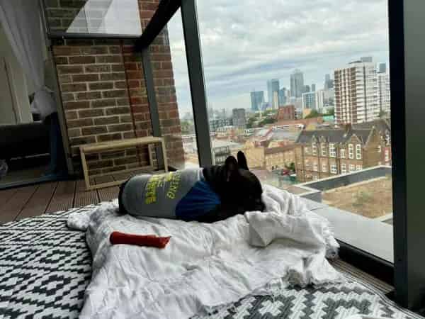 Flat For Rent , London, England