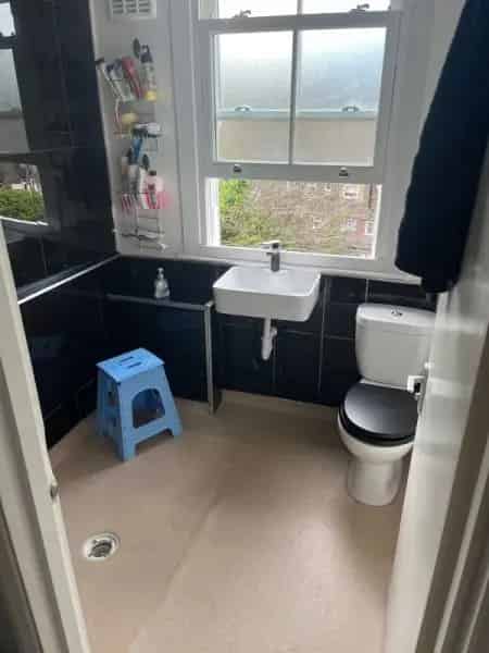 Massive Rooms Recently Renovated Perfect Area Ground Floor Garden Attic Space