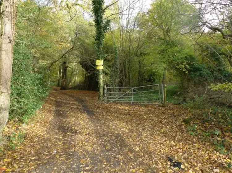 Woodland Plots for Sale
