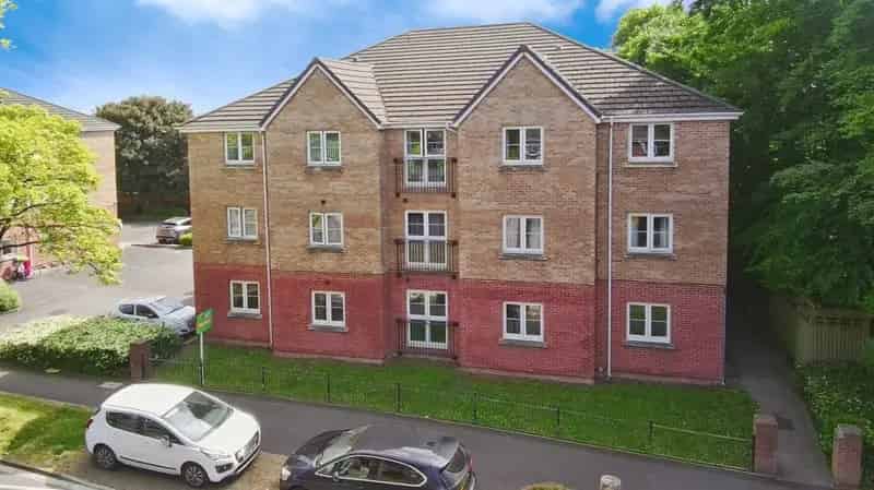 1 bedroom flat