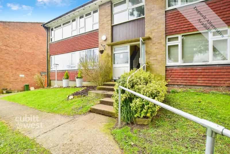 1 bedroom apartment to rent