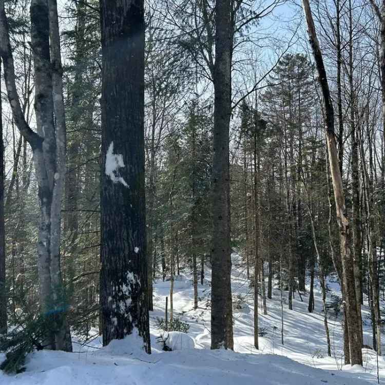 2.5 Acre Lot for Sale near Lac Long