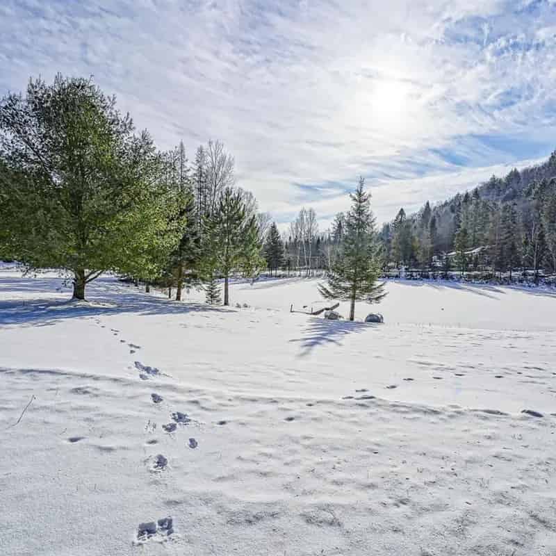 26-Acre Estate near Mont-Tremblant - Turnkey Property with Spa