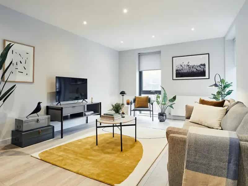 3 bedroom apartment to rent