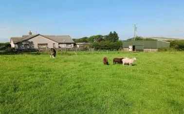 46.89 Acre Livestock Farm with 3 Bedroom Bungalow Near Bude