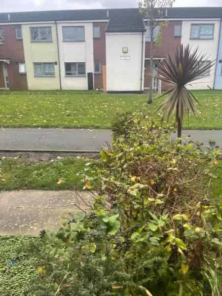 Spacious Flat Near Shops and School