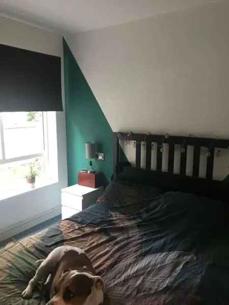 Flat For Rent in Newport, Wales