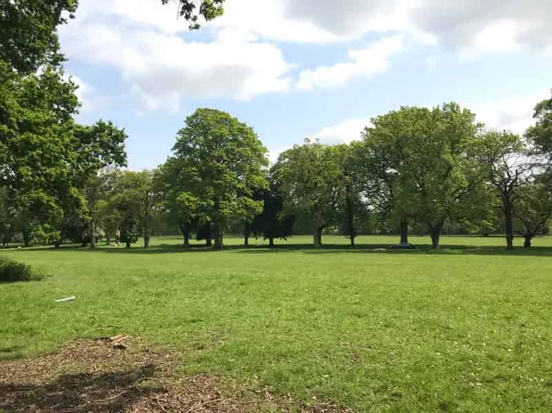 72 Units Wood Pasture and Neutral Grassland Site Warwickshire