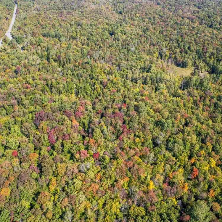 6 Acre Lot for Sale Near Magog - Laurendeau Project