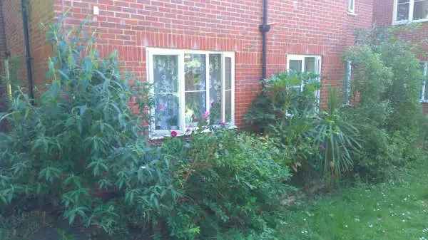 Flat For Rent in Horsham, England