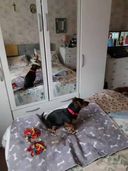 Flat For Rent , Rushmoor, England