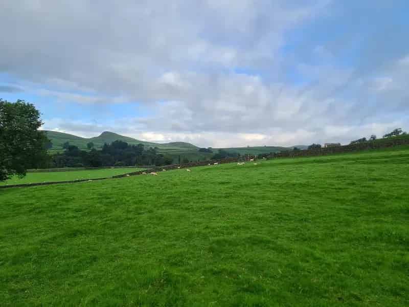11.3 Acres Grassland with Stone Barn - BPS Registered