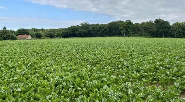 Farm For Sale in North Norfolk, England