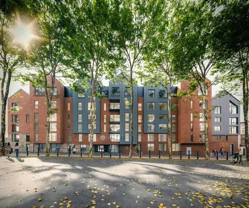 1 bedroom apartment