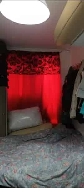 3 Bedroom House Near Parks and Transport