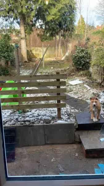 3 Bedroom House Swap Needed For Family Proximity