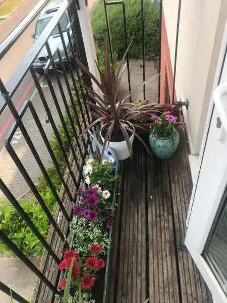 Flat For Rent in London, England