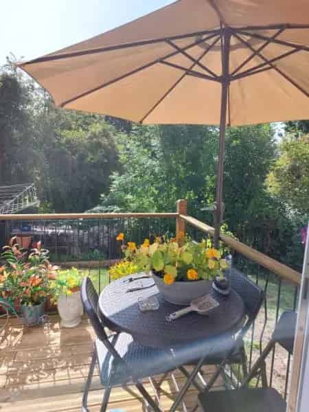 One Bed Flat Near Bristol Town Pet Friendly