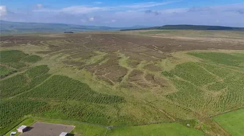 Taiglim Farm Lot 2 Land and Forestry 146.61 Acres