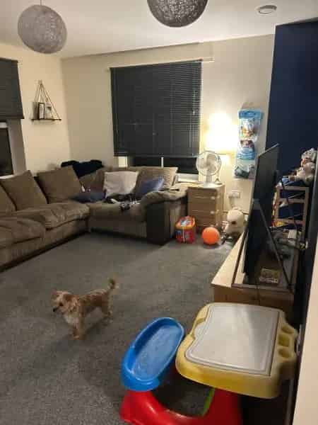Spacious 2-Bed Flat Near Nature Reserve  2 Parking Spaces Pets Allowed