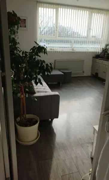 1 Bed Flat near North Dulwich Station